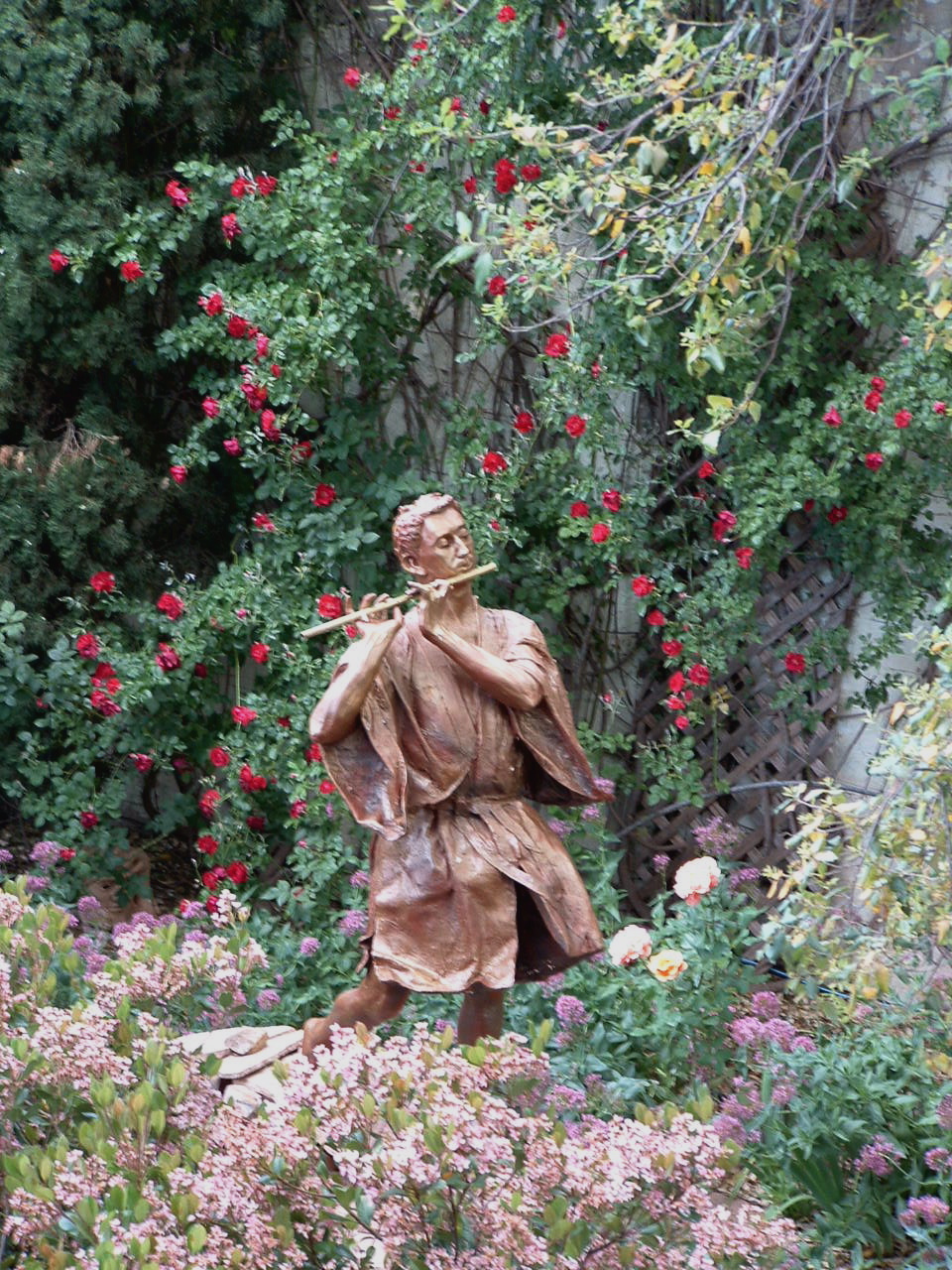 View of Tamino among the roses